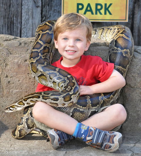 Australian Reptile Park - Tourism Cairns 3