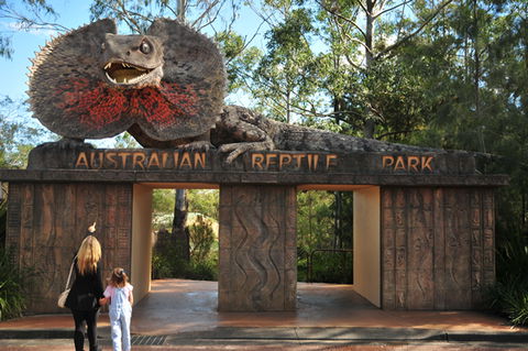 Australian Reptile Park - Tourism Cairns 5