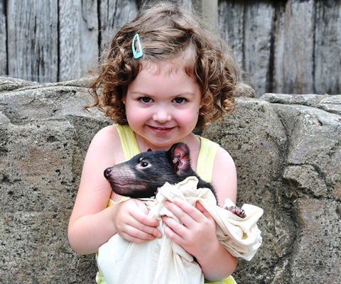 Australian Reptile Park - Tourism Cairns 8