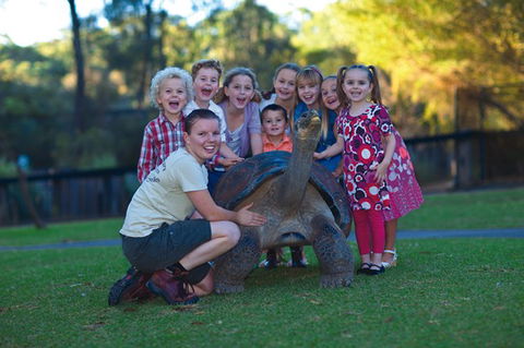 Australian Reptile Park - Tourism Cairns 11