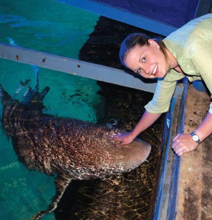 National Zoo & Aquarium - Tourism Cairns 7