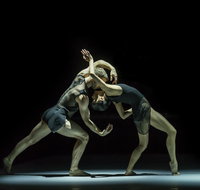 Sydney Dance Company - Tourism Cairns