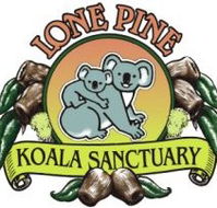 Lone Pine Koala Sanctuary - Tourism Cairns