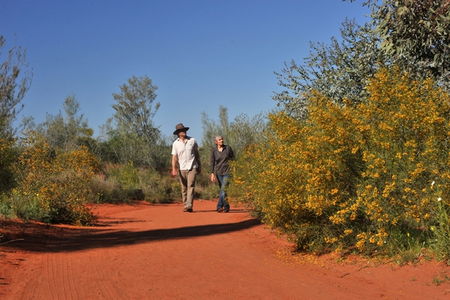 Alice Springs Desert Park - Tourism Cairns 3