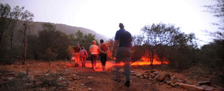 Alice Springs Desert Park - Tourism Cairns 4