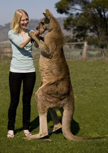 Zoo Doo Wildlife Park - Tourism Cairns 5