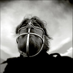 Australian Centre For Photography - Tourism Cairns 3