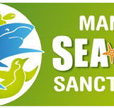 Manly SEA LIFE Sanctuary - Tourism Cairns