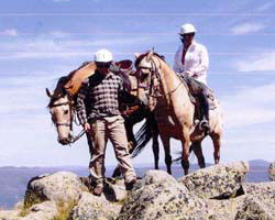 High Country Horses - Tourism Cairns 3
