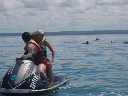 Aquavue Cafe Watersports - Tourism Cairns 5