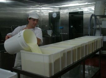 Witches Chase Cheese Co - Tourism Cairns 1