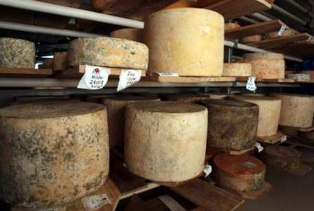 Witches Chase Cheese Co - Tourism Cairns 3
