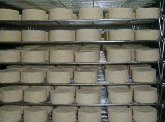 Witches Chase Cheese Co - Tourism Cairns 5