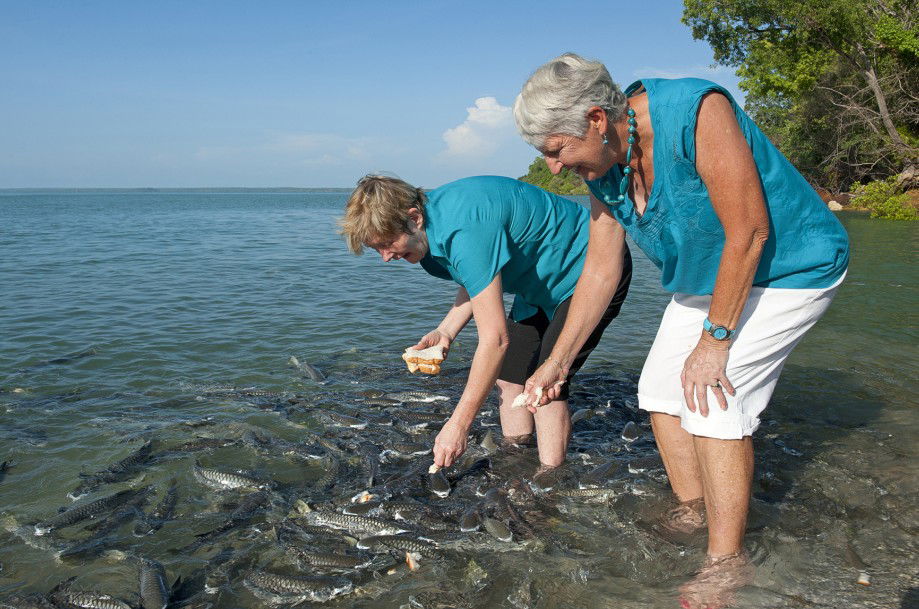  Tourism Cairns