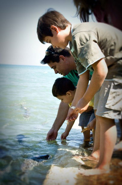 Aquascene Fish Feeding Sanctuary - Tourism Cairns 3