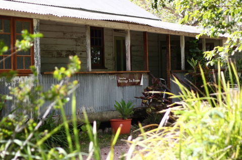 Herveys Range Heritage Tea Rooms - Tourism Cairns 3