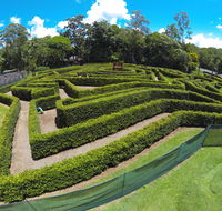 Bellingham Maze - Tourism Cairns