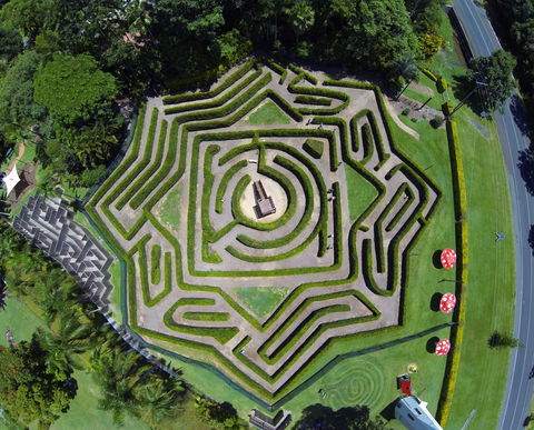 Bellingham Maze - Tourism Cairns 1