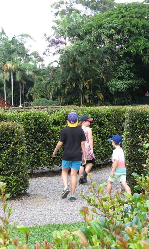 Bellingham Maze - Tourism Cairns 2