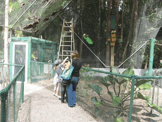 Bellingham Maze - Tourism Cairns 7