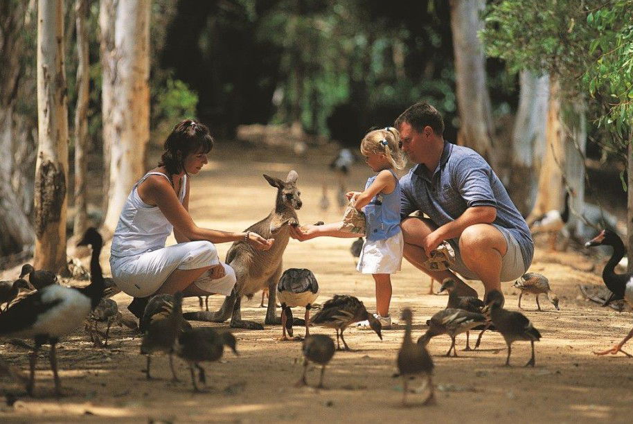  Tourism Cairns