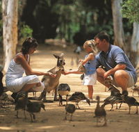 Billabong Sanctuary - Tourism Cairns