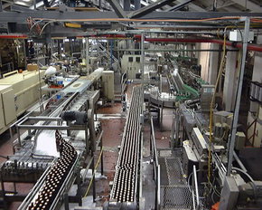 Cascade Brewery Tour - Tourism Cairns 2