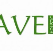 Agave Holistic Day Spa  Beauty - Tourism Cairns