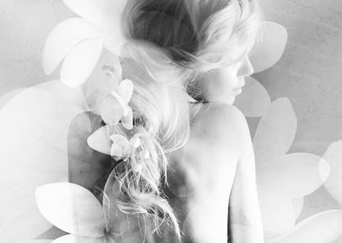 Elysium- A Place Of Beauty - Tourism Cairns 1