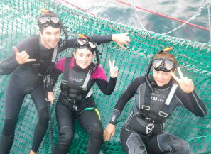 Dolphin Swim Australia - Tourism Cairns 7