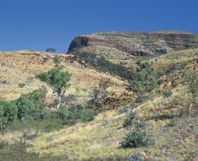  Tourism Cairns