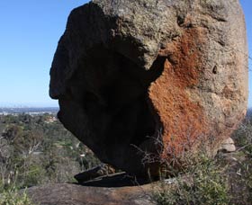 Eagle's View Walk, John Forrest National Park - Tourism Cairns 0