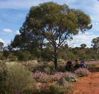 Karlkurla Bushland Park - Tourism Cairns