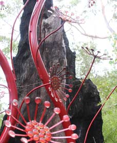 Understory Art In Nature - Tourism Cairns 0