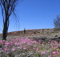 Talgomine Reserve - Tourism Cairns