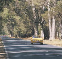 Ludlow Tuart Forest - Tourism Cairns