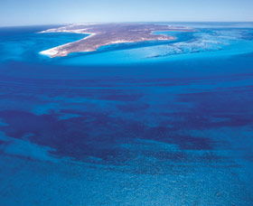  Tourism Cairns