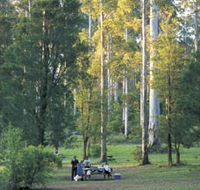 Big Brook Arboretum - Tourism Cairns