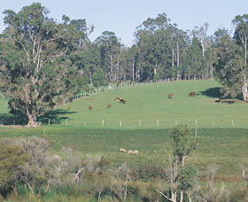 Scenic Drives - Bunbury Collie Donnybrook - Tourism Cairns 0
