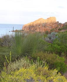 Meelup Trail - Tourism Cairns 0