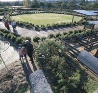 Kojonup Rose Maze - Tourism Cairns