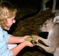 Discovery Bay's Walk on the Wild Side - Tourism Cairns