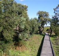 Kepwari Trails Wetland Wonderland - Tourism Cairns