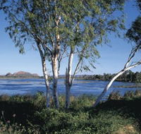 Celebrity Tree Park - Tourism Cairns