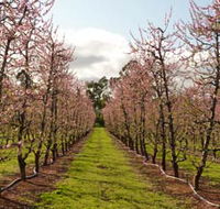 Raeburn Orchards - Tourism Cairns