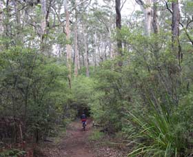  Tourism Cairns