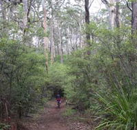 Margaret River Rails Trail - Tourism Cairns