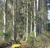 Scotsdale Tourist Drive - Tourism Cairns