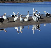 Peel Region Canoe Trails - Tourism Cairns