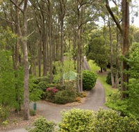Mount Lofty Botanic Garden - Tourism Cairns
